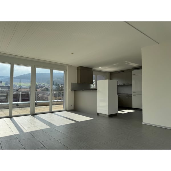 Moderne Attika Wohnung an ruhiger Lage in Zeiningen 3