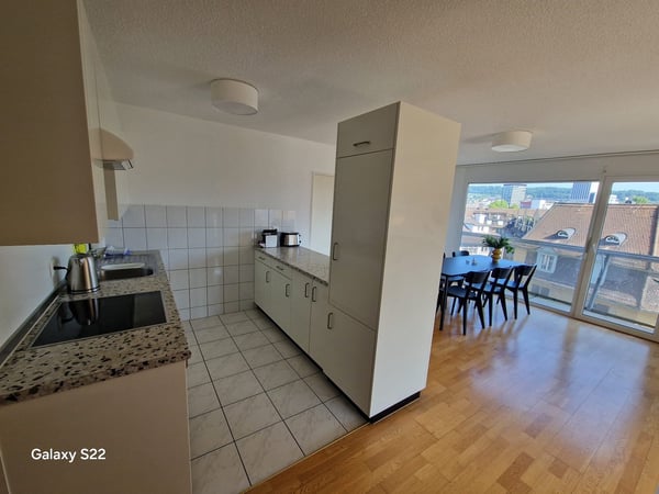 Befristet bis 31.12.28 Moderne 1.5-Zimmer-Wohnung mit Stadtblick in Zürich Industriequartier 9