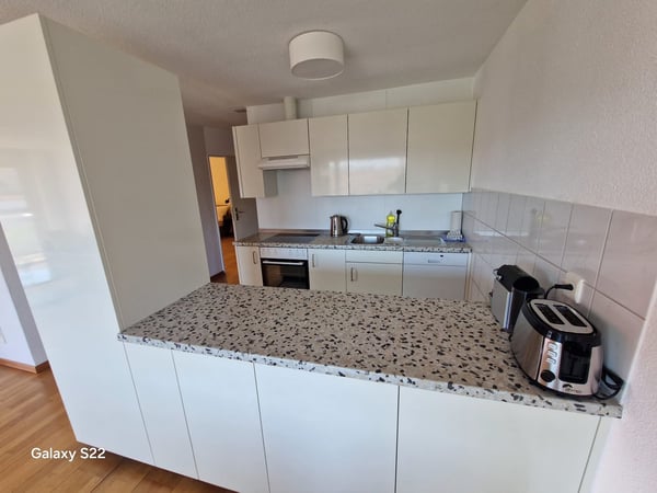 Befristet bis 31.12.28 Moderne 1.5-Zimmer-Wohnung mit Stadtblick in Zürich Industriequartier 5