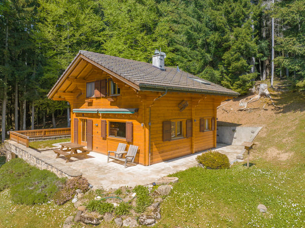 Un refuge alpin au coeur de la nature - clairière privée & art de vivre alpin Animaux alpins devant la fenêtre au quotidien ! 13
