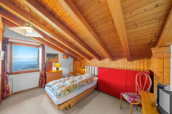 Chalet avec panorama exceptionnel sur le lac Léman ! 12