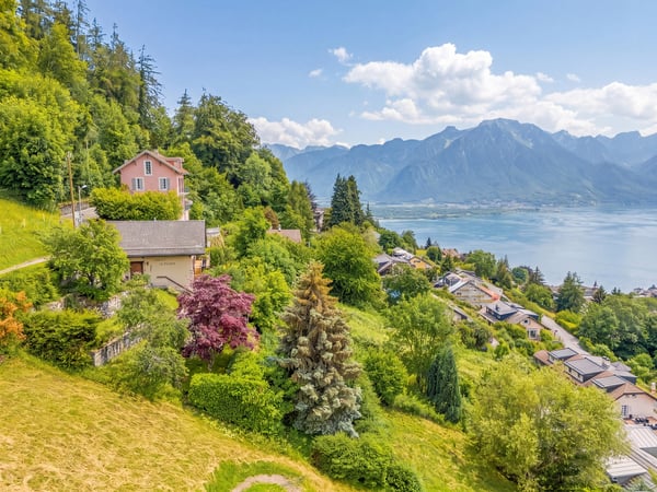 Chalet avec panorama exceptionnel sur le lac Léman ! 4