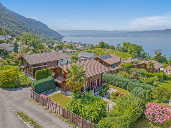 Vue imprenable sur le Léman, calme absolu 1