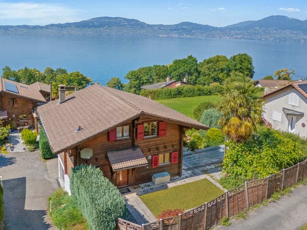 Vue imprenable sur le Léman, calme absolu 10