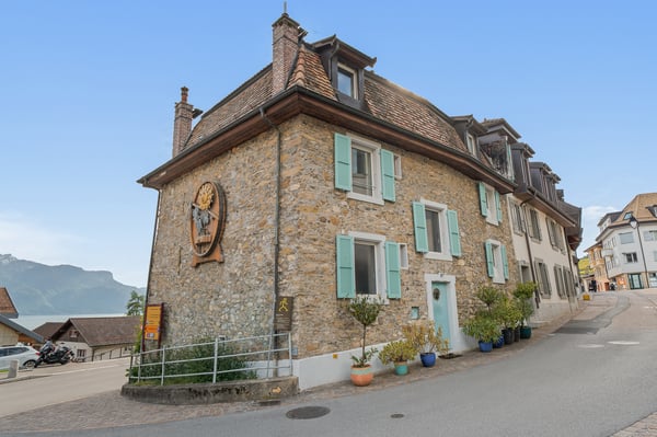 Maison vigneronne d'exception au coeur du vieux bourg avec vue lac 1
