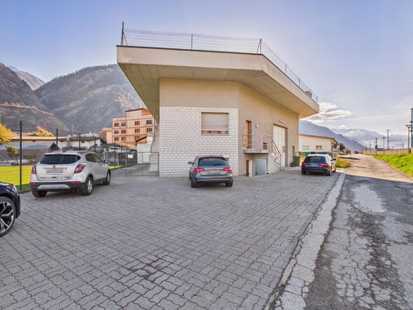 Halle dépôt avec chambres frigorifiques et deux studios 1