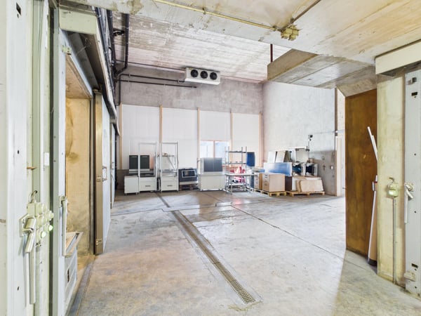 Halle dépôt avec chambres frigorifiques et deux studios 5