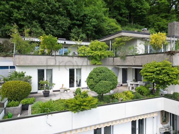 1.5-Zimmer Terrassenhaus in Erlinsbach AG 3