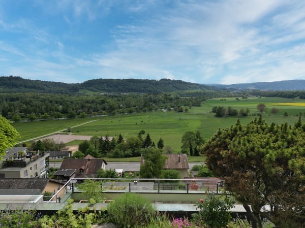 1.5-Zimmer Terrassenhaus in Erlinsbach AG 4