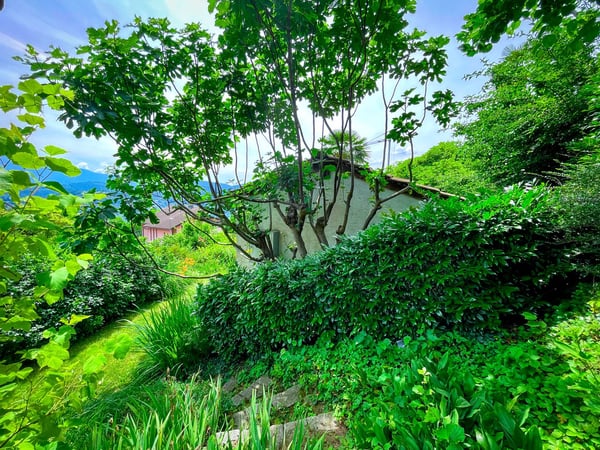 Vernate - Wunderschönes Baugrundstück mit freiem Blick und teilweisem Seeblick | Vernate - Magnifique terrain constructible avec vue dégagée et partielle sur le lac | Vernate - Splendido Terreno Edificabile con Vista Aperta e Parziale Lago | Vernate - Beautiful Building Plot with Open and Partial Lake Views 6