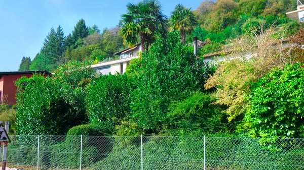 Vernate - Wunderschönes Baugrundstück mit freiem Blick und teilweisem Seeblick | Vernate - Magnifique terrain constructible avec vue dégagée et partielle sur le lac | Vernate - Splendido Terreno Edificabile con Vista Aperta e Parziale Lago | Vernate - Beautiful Building Plot with Open and Partial Lake Views 9