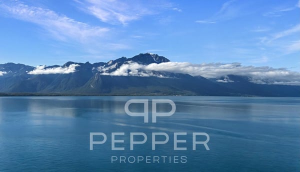 Rare duplex en attique avec vue panoramique sur le Léman et les Alpes 2