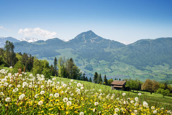 Exklusive 5.5-Zimmer-Terrassenwohnung mit Bergblick in Sattel 17