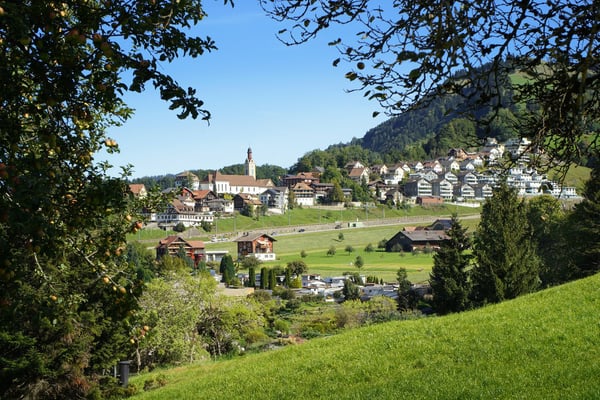 Exklusive 5.5-Zimmer-Terrassenwohnung mit Bergblick in Sattel 12