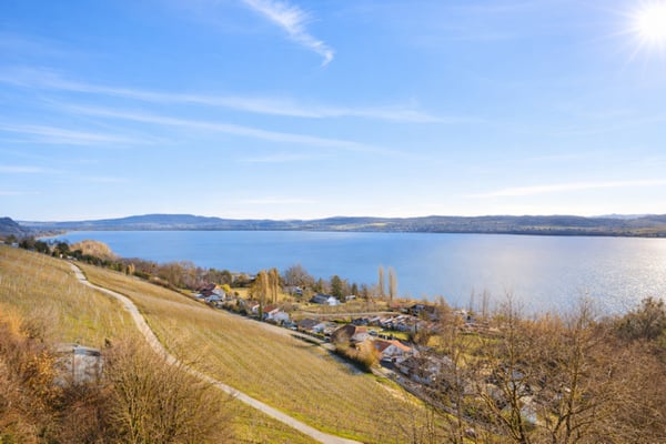 Villa neuve d'exception avec vue panoramique sur le lac de Morat 8