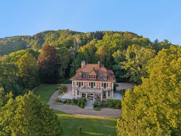 Lavaux : villa iconique, vue Léman et Alpes, domaine de près de 1.6 ha 12