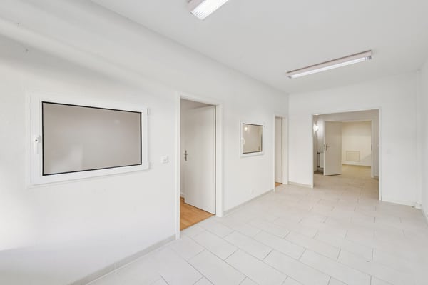 local commercial ouvert à diverses activités 1