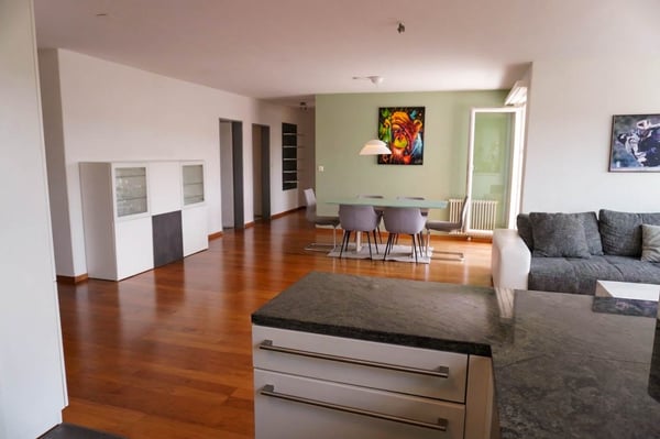 5½-Zimmer-Wohnung mit grosser Terrasse 8