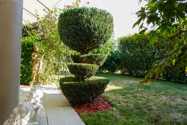 4½ Zimmer-Gartenwohnung im Lindenpark