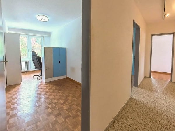 3½-Zimmer-Wohnung mit grosser Terrasse 10