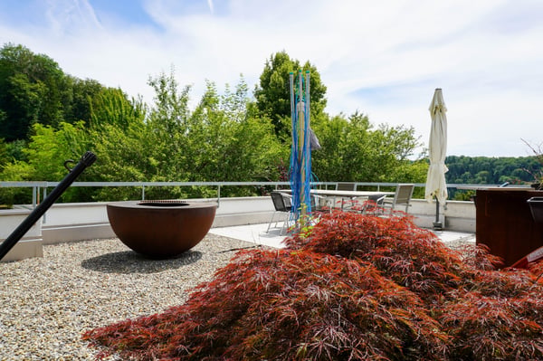 3½-Zimmer-Wohnung mit grosser Terrasse 13