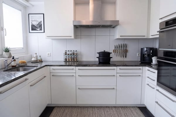 4½-Zimmer-Wohnung mit 78 m² Terrasse am Uetliberg 8