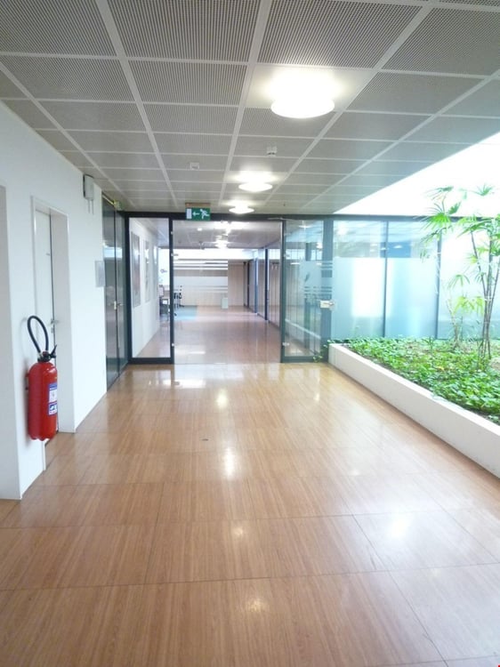 Grosszügige Gewerbefläche: für Büro, Fotostudio, Ausstellung, Verkauf... 4