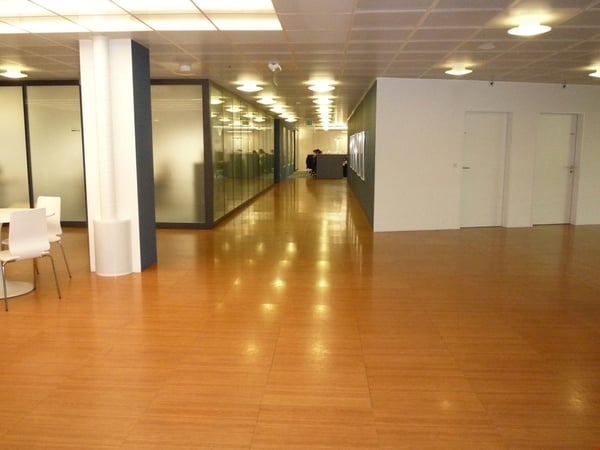 Grosszügige Gewerbefläche: für Büro, Fotostudio, Ausstellung, Verkauf... 3