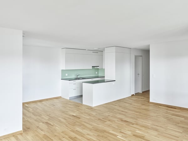 3.5-Zimmerwohnung mit Weitsicht im Holenackerquartier 1