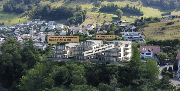 Gewerbehaus mit Seeblick und Wohnstudio 2