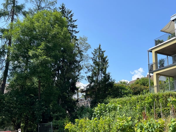 Charmante 4.5-Zimmer-Loftwohnung im Grünen an ruhiger Lage in Eglisau 4