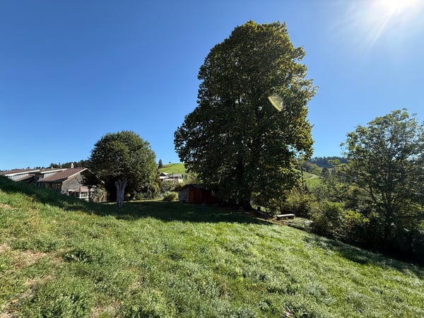 Wo das Toggenburg zu Hause ist 9