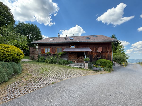 Exklusiv bei Feliser Immobilien – wo das Toggenburg zu Hause ist 10