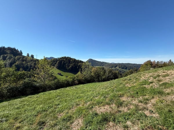 Wo das Toggenburg zu Hause ist 2