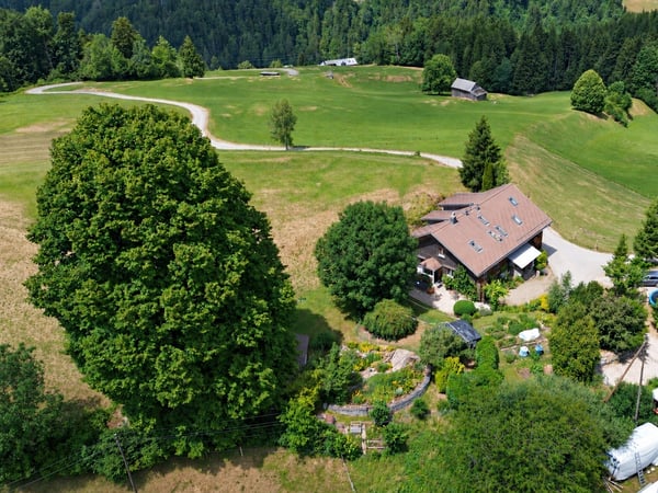 Exklusiv bei Feliser Immobilien – wo das Toggenburg zu Hause ist