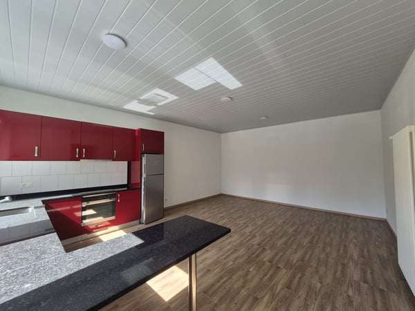 Stadthaus renoviert 2018 – 1.5 Zimmer, Terrasse 61m², Doppelgarage 3
