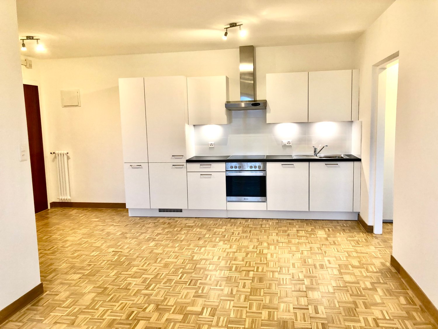modern kitchen with white cabinets, wooden floor, stainless steel appliances, ceiling lights