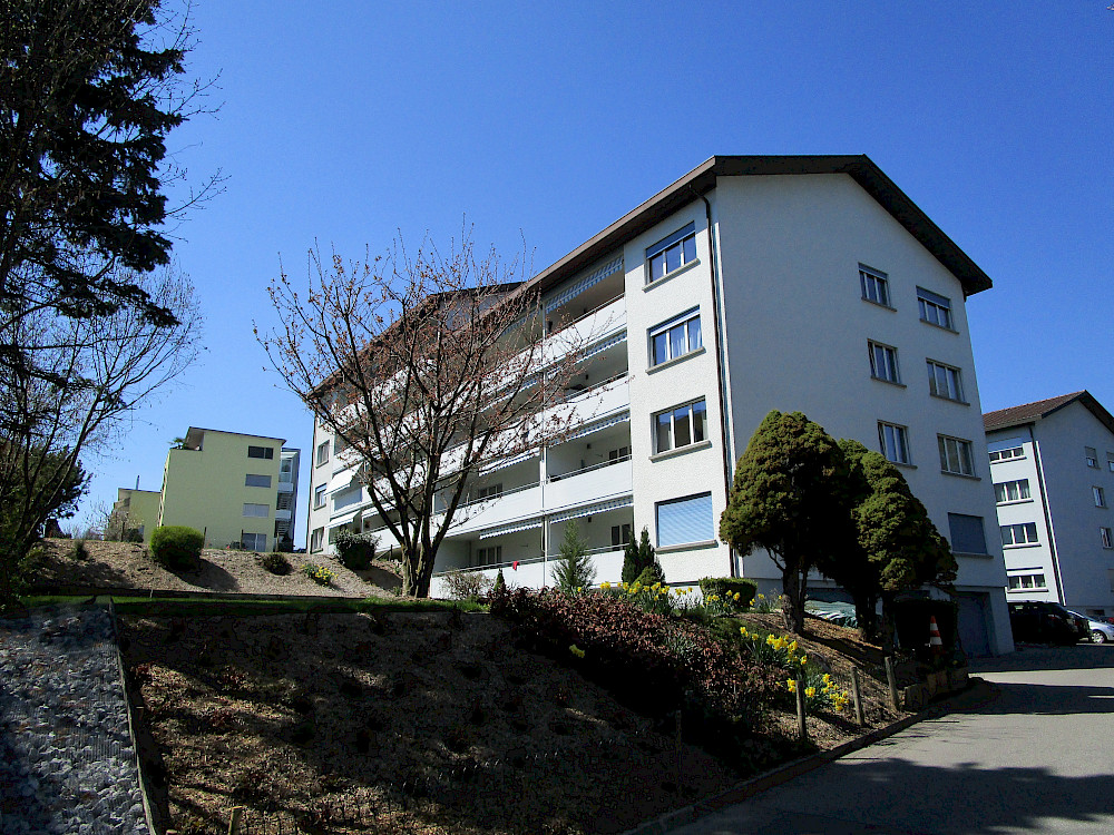 Bild an der Peterstrasse 27 in Düdingen