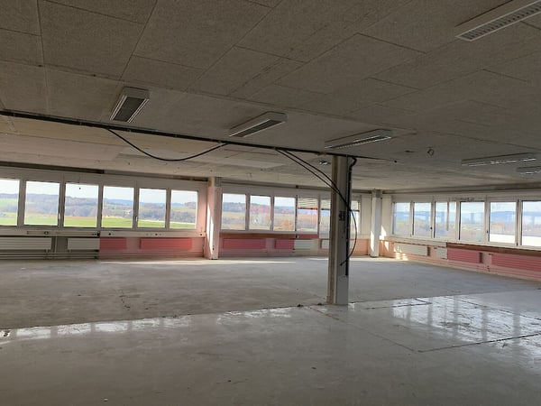 Geräumiges und helles Lokal an der Warpelstrasse in Düdingen 6