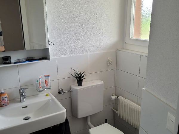 2.5 Zimmerwohnung in Schmitten 4