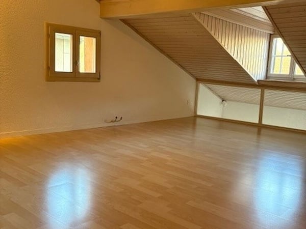 Wunderschöne Triplex-Wohnung in der Altstadt von Freiburg 9