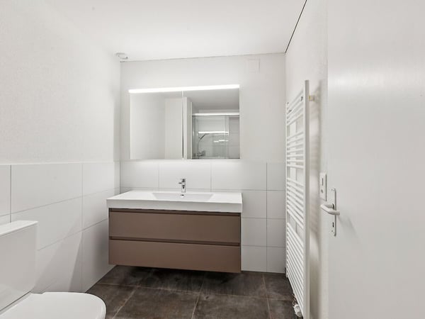 Einzigartiges Loft im ehemaligen Restaurant Sternen in Fräschels 7