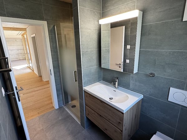 Neuwertige Wohnung an erhöhter Lage in Freiburg zu vermieten 8