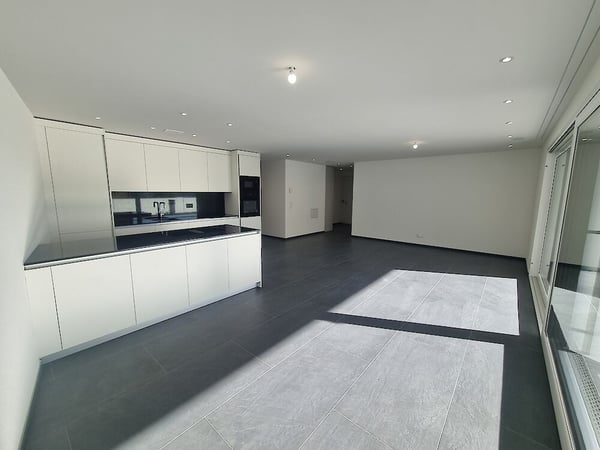 Neubau in Schmitten 4