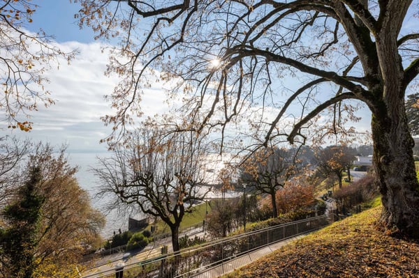 Attique d'exception à Nyon Vue lac & Mont-Blanc 13