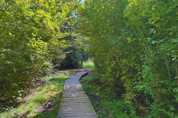 Exklusives Bauland in gepflegter Wohnanlage mit Pool, Tennisplatz und Park 14