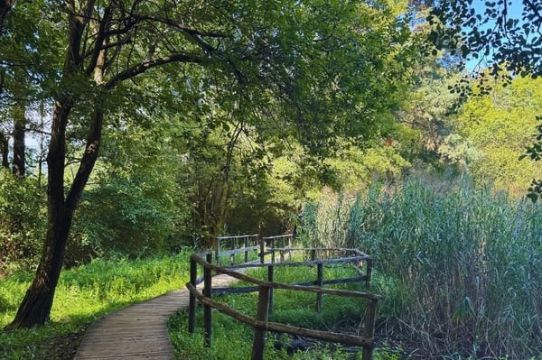 Exklusives Bauland in gepflegter Wohnanlage mit Pool, Tennisplatz und Park 15