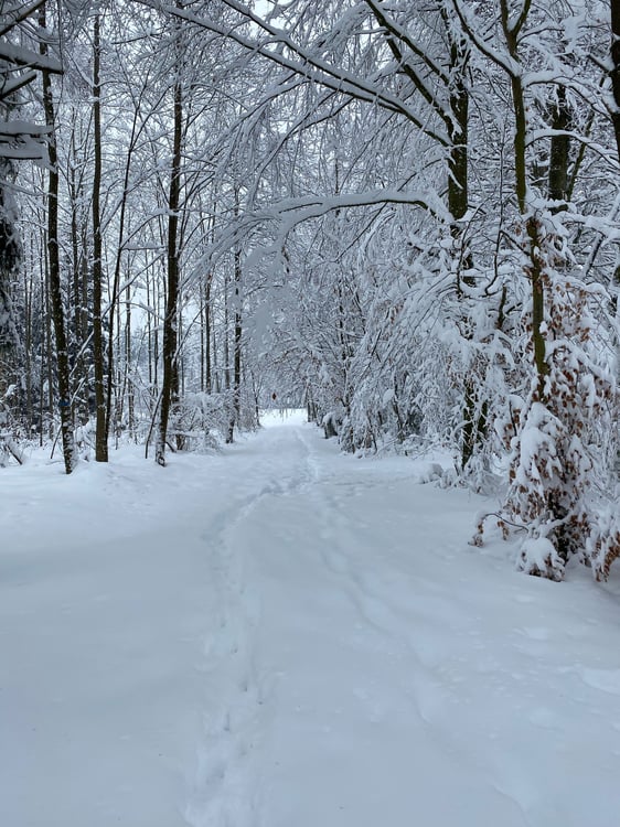 Charmantes 1.5-Zimmer Einfamilienhaus in ruhiger Lage von Islisberg – mit zahlreichen Extras 34