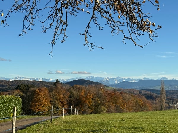 Charmantes 1.5-Zimmer Einfamilienhaus in ruhiger Lage von Islisberg – mit zahlreichen Extras 31