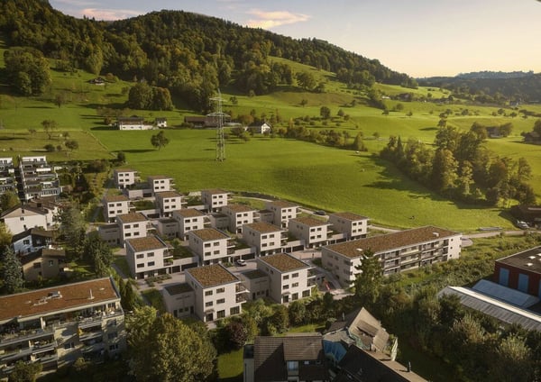 ROOTS Root: Wurzeln für Ihr neues Zuhause. 3
